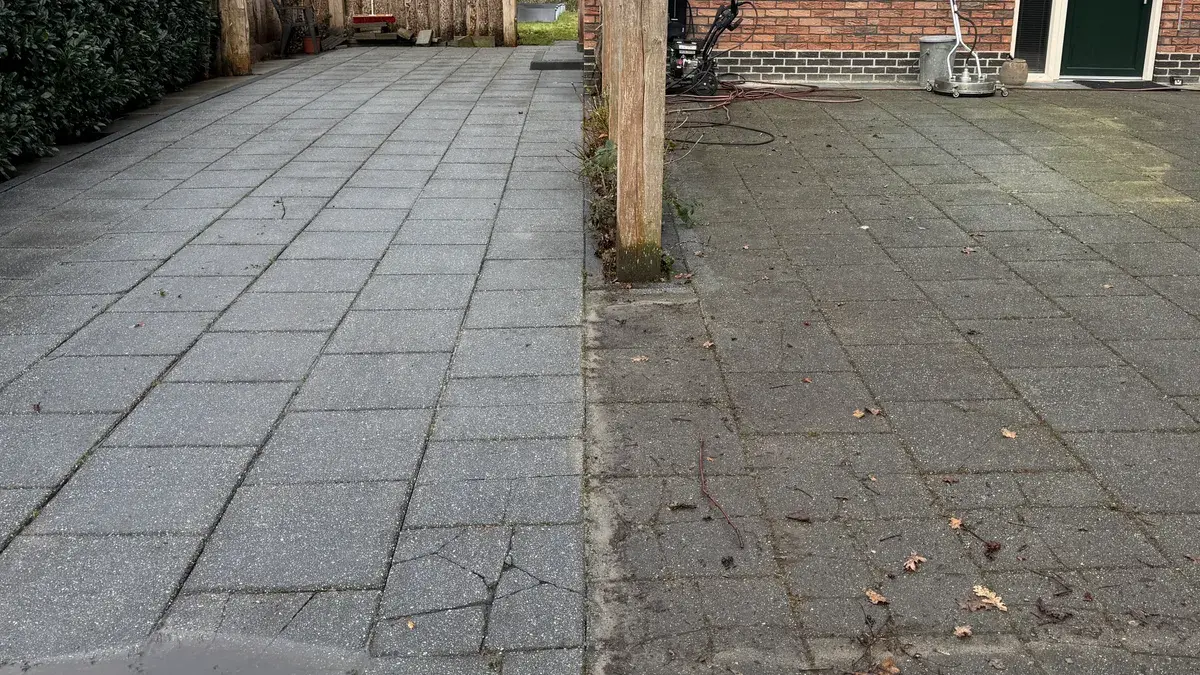 Opritreiniging